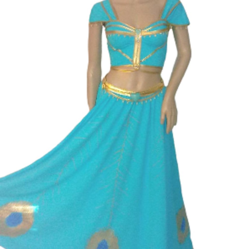 Aladdin Jasmine Costume Princess Jasmine